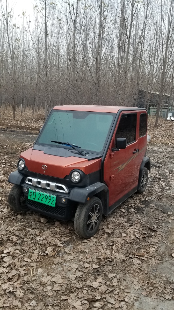 大阳电动车四轮车