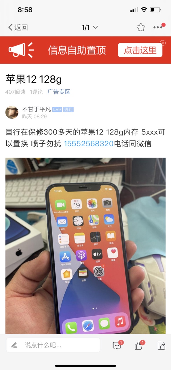 苹果12