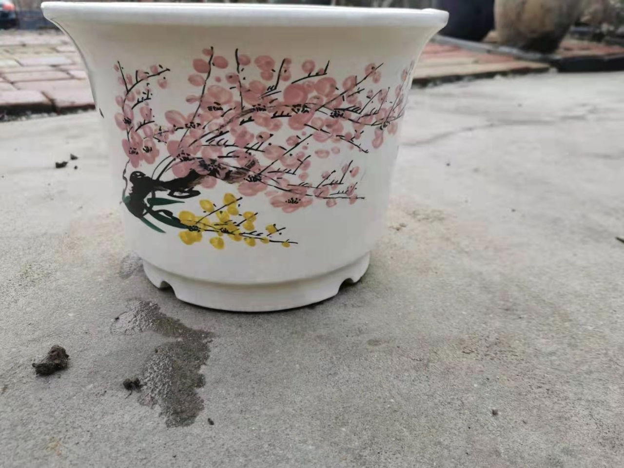 花卉市场倒闭闲置一批花盆大号27中号22小号1