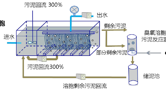 20221204193535front2_0_516_Fgi3z4AyIbQf8WqSEgATV_tzhVWA.png