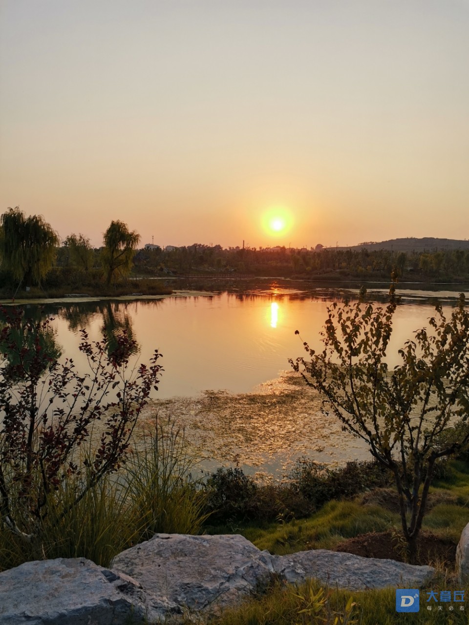 玉泉湖公园的美景,虽然泉子有点脏,但是还是挺美的
