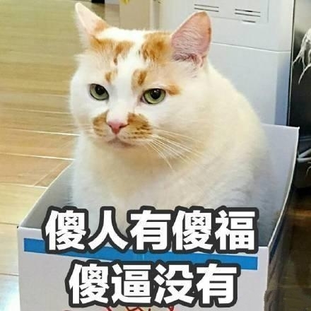 傻和笨有区别吗?