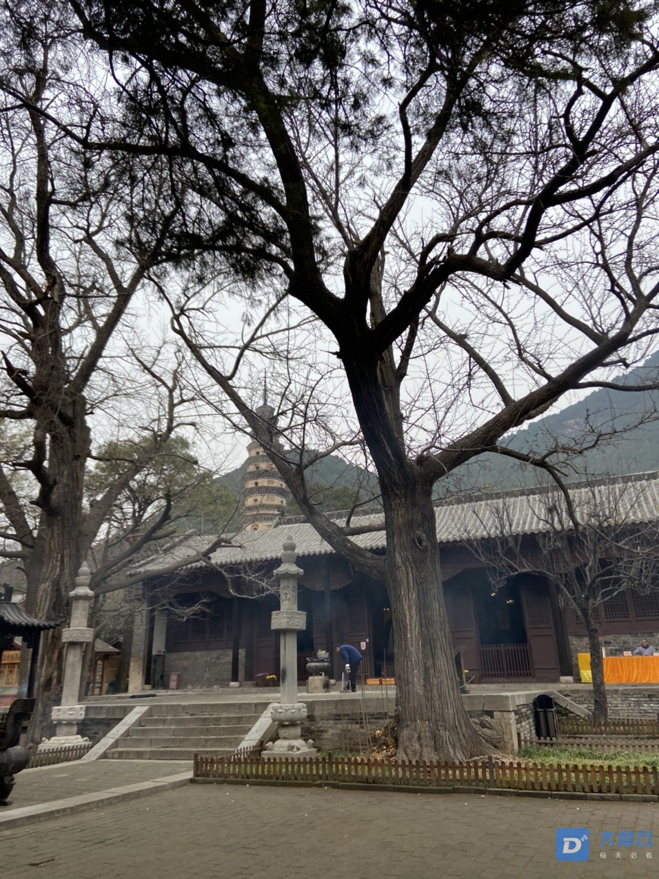 打卡千年古刹灵岩寺