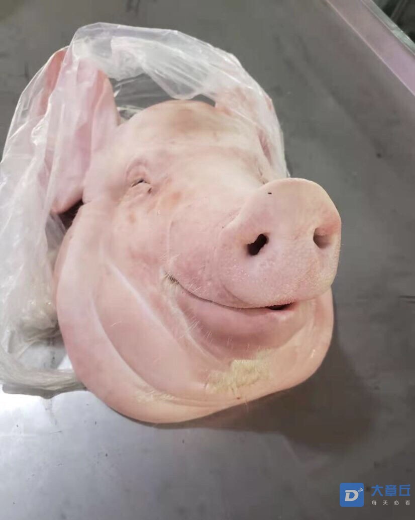 囤肉过年土豪朋友买了一整头猪搬回家