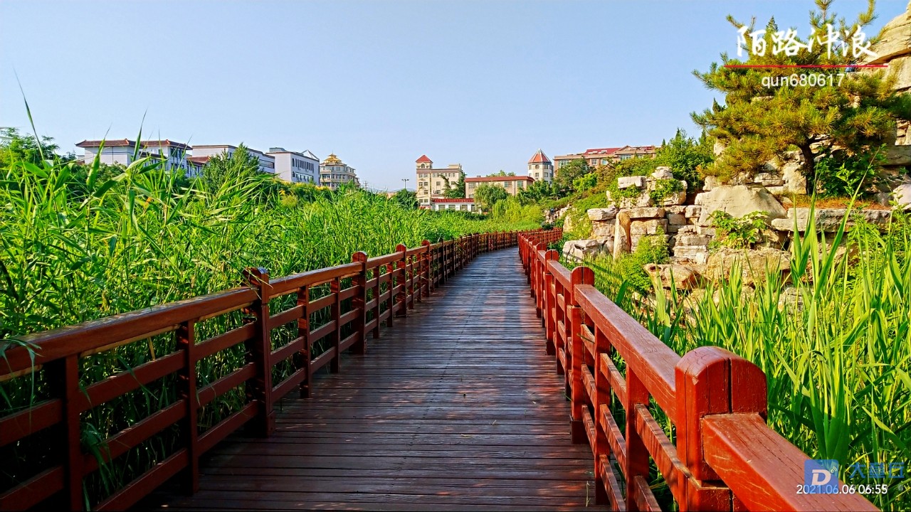 清晨的桃花山公園溜達溜達